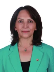 Aliye Timisi Ersever