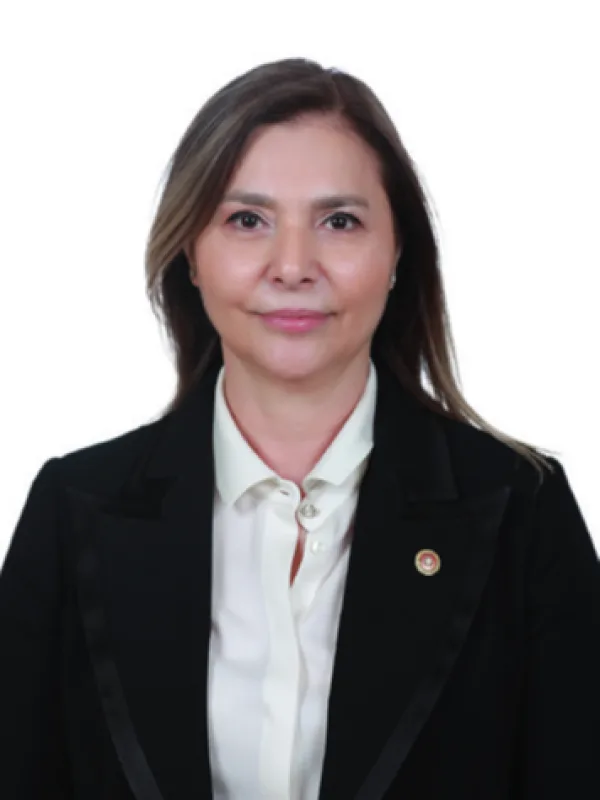 Ayşe Sibel Ersoy