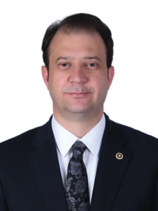İnan Akgün Alp