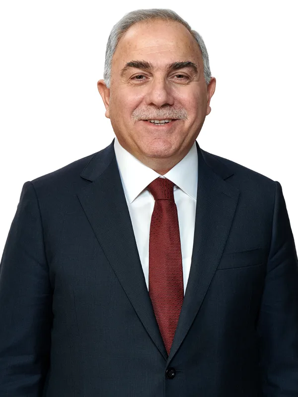 Mehmet Ergün Turan