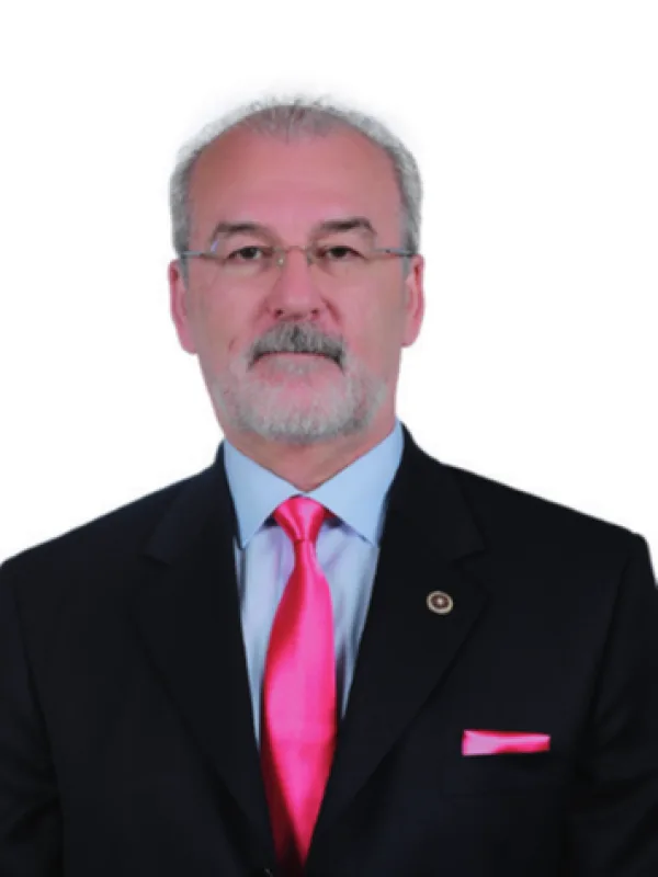 Mustafa Hulki Cevizoğlu