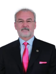 Mustafa Hulki Cevizoğlu