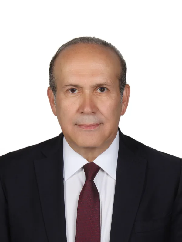 Namık Tan