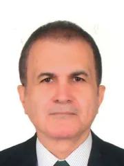 Ömer Çelik