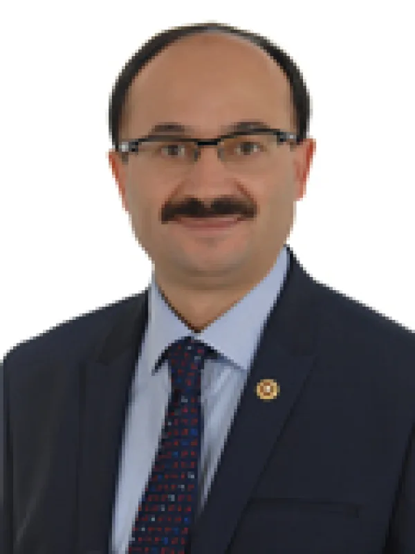 Osman Mesten