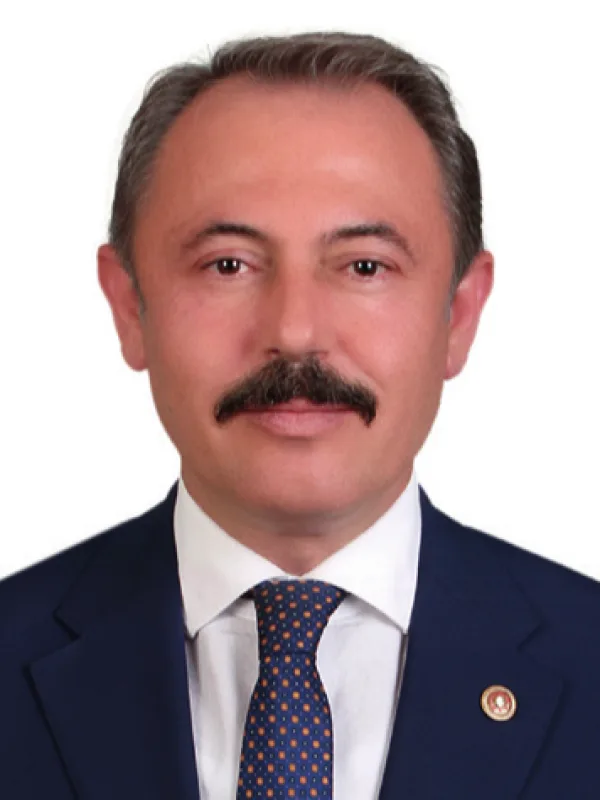 Şahin Tin