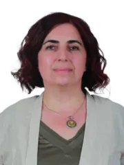 Sevilay Çelenk Özen