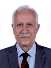 Sinan Çiftyürek