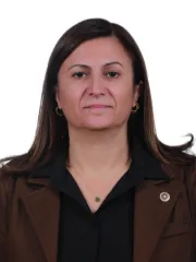 Türkan Elçi